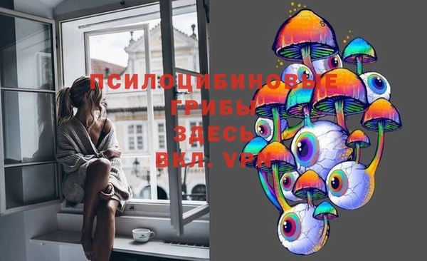 не бодяженный Аркадак
