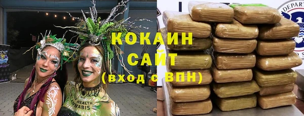 винт Арсеньев