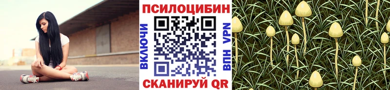 KRAKEN ССЫЛКА  Лесосибирск  Псилоцибиновые грибы Magic Shrooms 